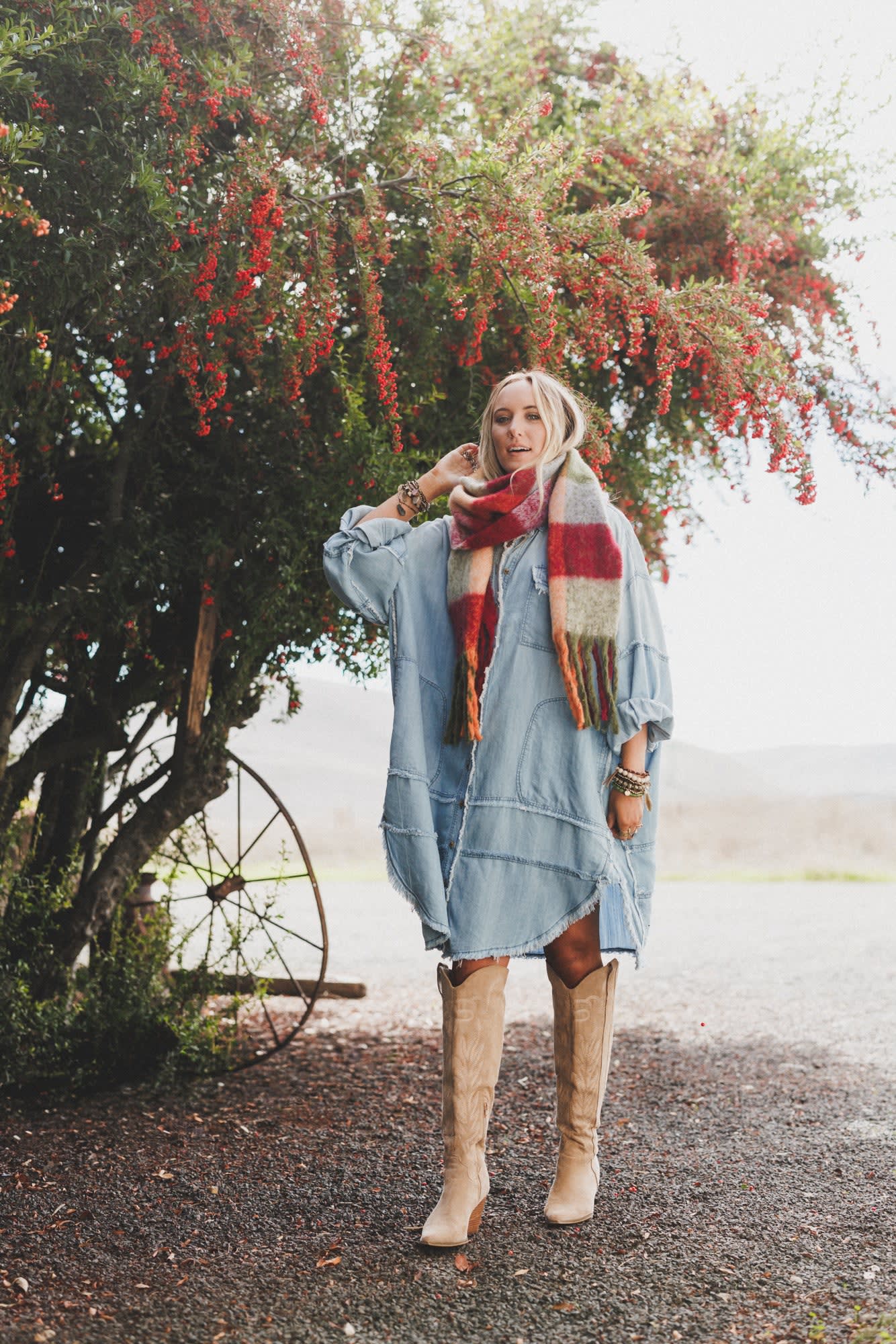 Ophelia Oversized Denim Dress — Three Bird Nest - Main Image