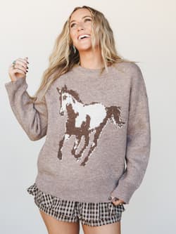 Chasing Horses Sweater