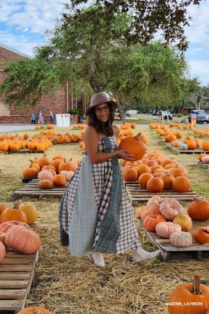 western-charm-checkered-dress-mint/Mint