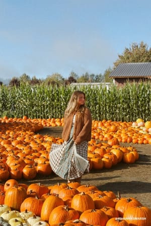 western-charm-checkered-dress-mint/Mint