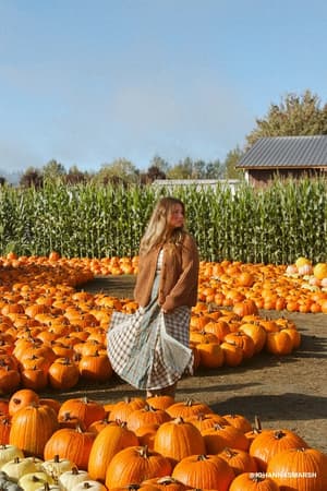 western-charm-checkered-dress-mint/Mint