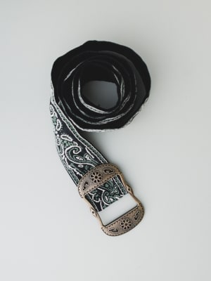 Paisley Party Belt - Dusty Sage OS / Dusty Sage