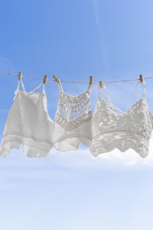 Ivory Love 3 Piece Bralette Bundle: undefined