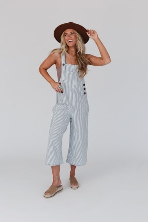 High Hopes Denim Overalls: undefined