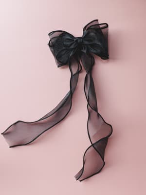 Tied With a Bow Hair Clip: undefined