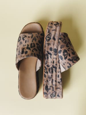 Harbor Platform Slide: undefined