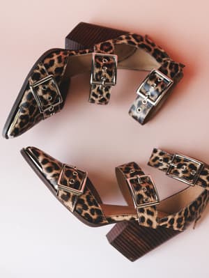 Two pairs of leopard print booties arranged in a circular flat lay against a blush pink background — all pointy toes, stacked wood heels, and silver buckle straps that mean business in the best way.