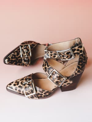 A pair of leopard print block heel booties with double silver buckle straps and a pointed toe, styled against a soft blush pink background — the kind of shoe that does all the talking.