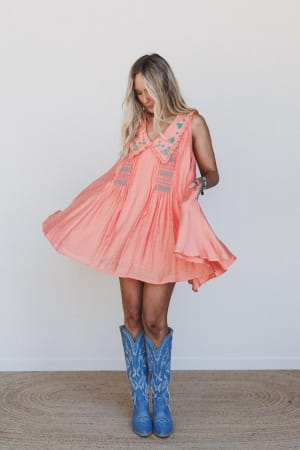 Lyona Embroidered Dress: undefined