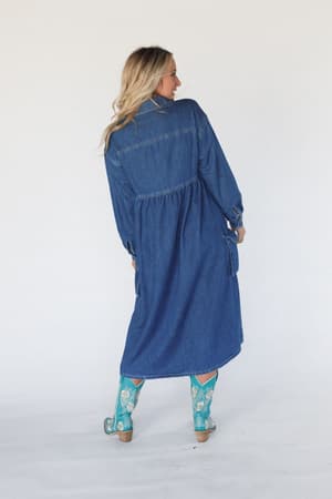 wild-willow-denim-maxi-dress-indigo/Blue