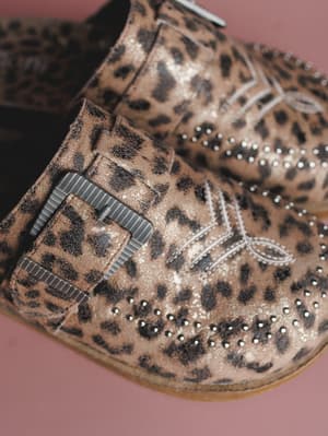 Leopard