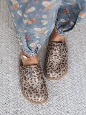 Leopard