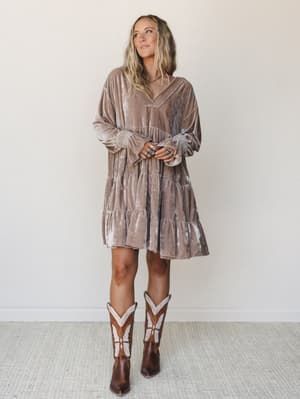 The Nest Maddie Velvet Dress: undefined