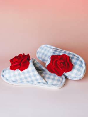 A pair of light blue gingham slippers topped with bold red velvet rose appliqués, shot against a soft pink studio backdrop — equal parts cozy and unexpectedly sweet.