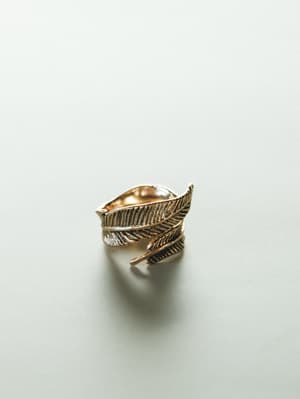 Gold feather-shaped ring on a light gray background