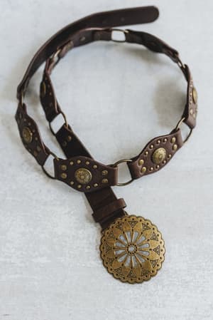 Rustic Medallion Concho Belt: undefined