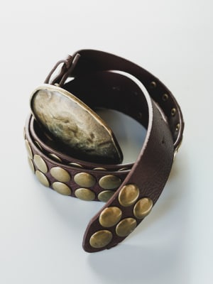 Wild Sun Belt: undefined