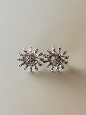 Ranch Life Stud Earrings - Sliver OS / Sliver