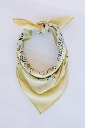 Cabin Song Paisley Bandana: undefined