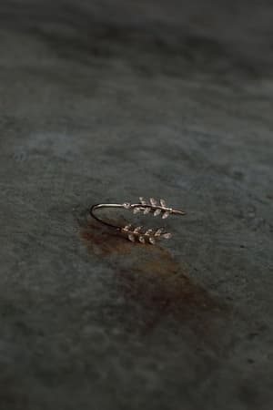 asteria-leaf-cuff-gold/Gold