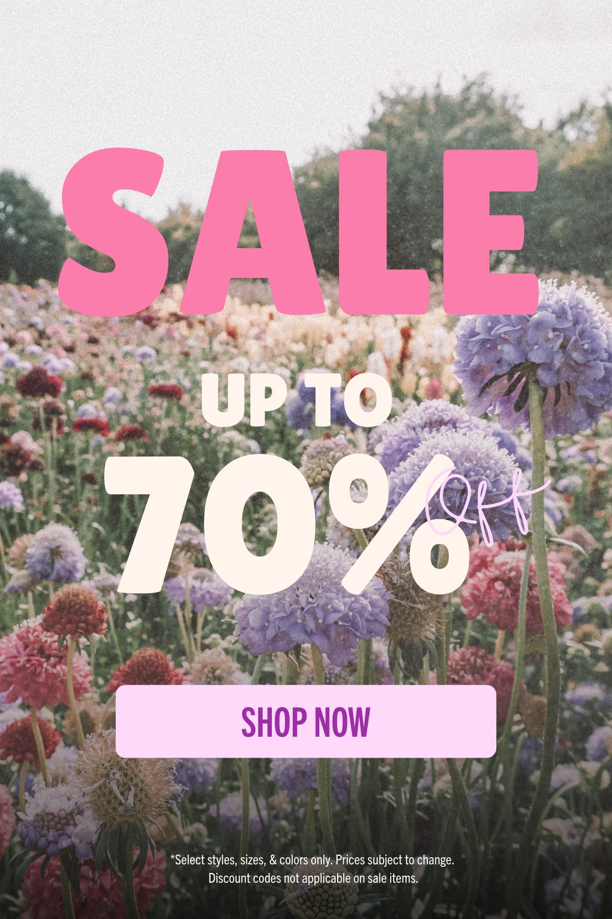 Shop Up to 70% Off >