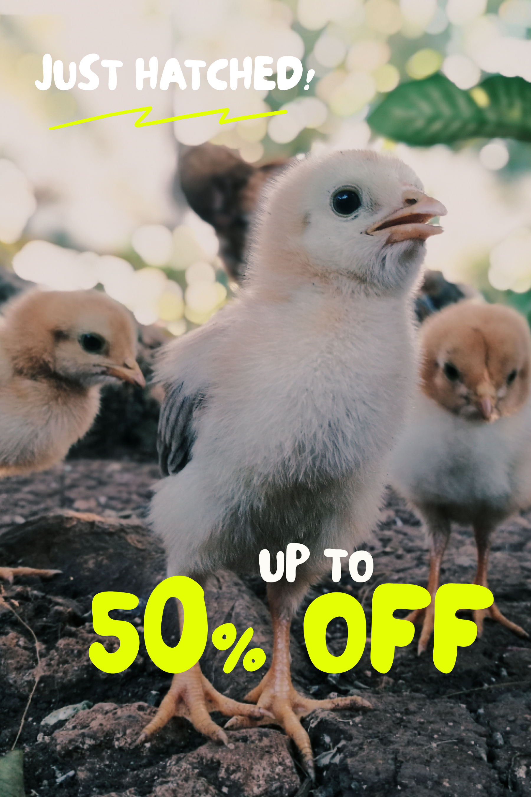 Save Up to 50% >
